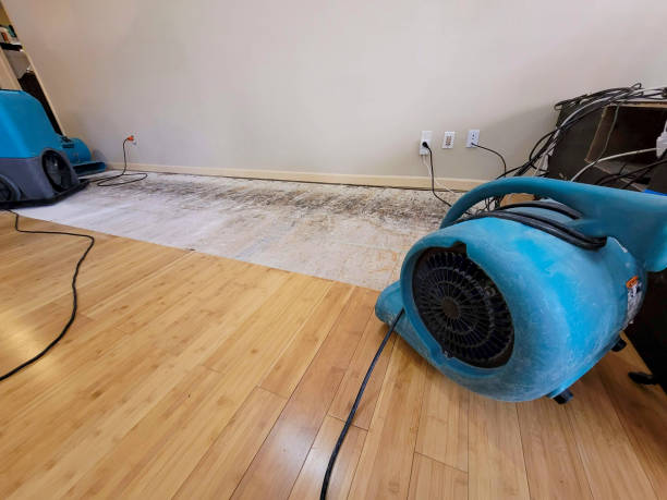 Professional Burst Pipe Water Damage technician working in Centreville, VA